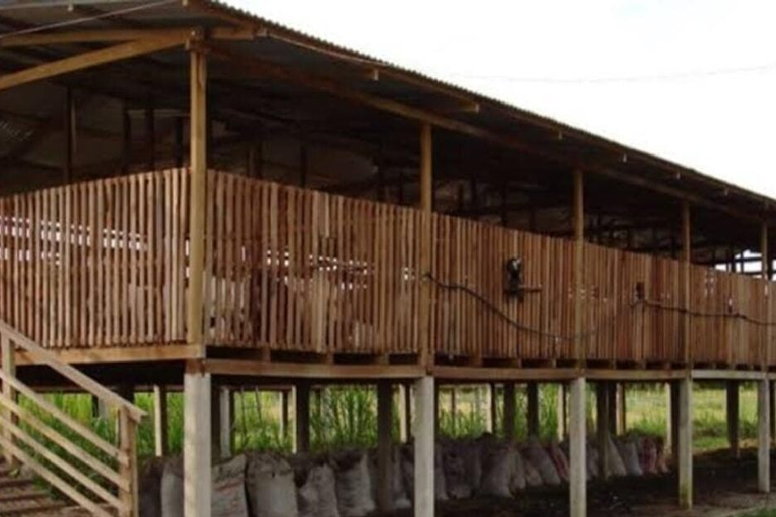 Kandang Panggung Model Petak